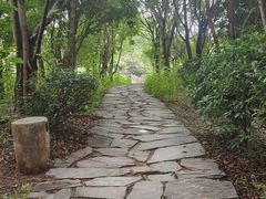 -西昌邛海湿地