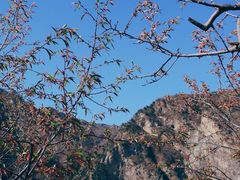 -圣莲山风景区