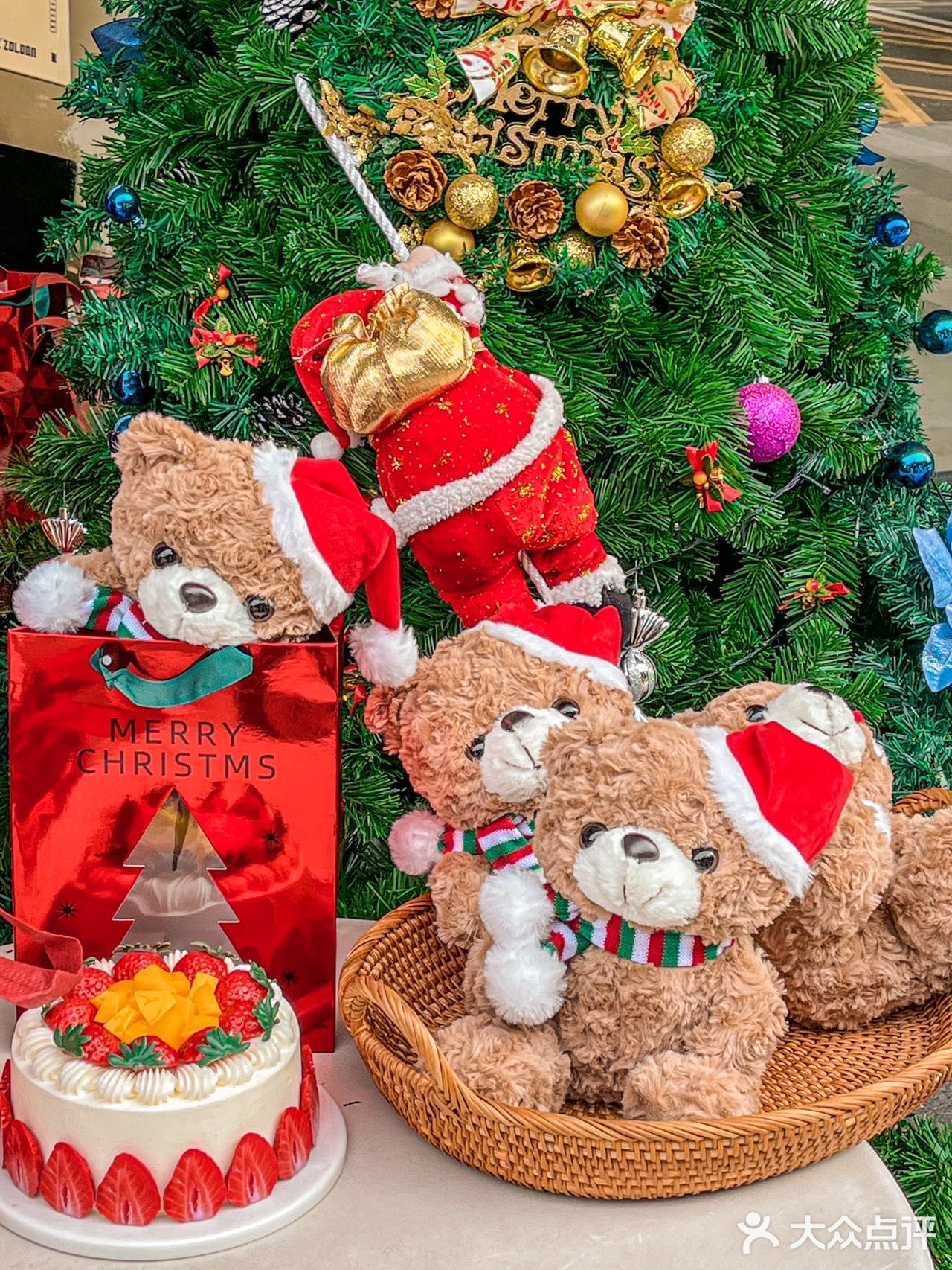 这家面包店！！！满满一墙圣诞🎄蛋糕🍰！