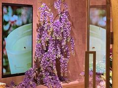 -BEAST野兽派(上海浦东嘉里城店)