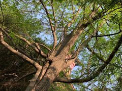 -四川大学(华西校区)