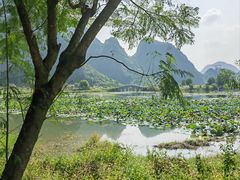 -钟山水墨田园