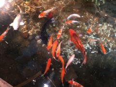 -聚缘堂·海鲜私房菜(松岭路店)