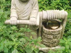 -武陵山森林公园