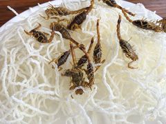 炸金蝎-蒙阴县光棍鸡店(蒙山店)
