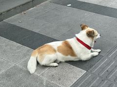 -海曙西区老大房(孝闻街店)