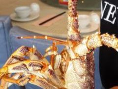 -金唐海鲜酒家