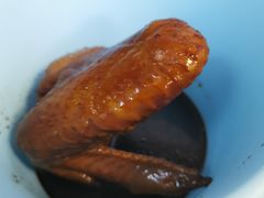 -赏饮·WILL TEA