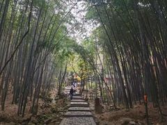 -穹窿山景区