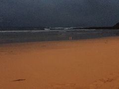 -企鹅岛
