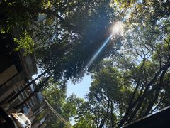 -Seesaw Coffee(苏州中心店)