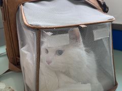 -宠福鑫动物医院(立水桥分院)