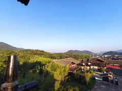 -大唐贡茶院