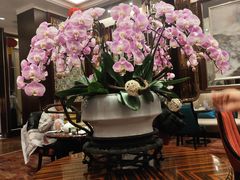 -夏宫中餐厅(香格里拉大酒店)