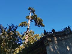-潭柘寺景区