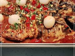 -鱼酷活鱼烤鱼(南京水游城店)