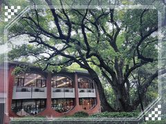 -之江大学-旧址