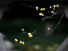 -玻璃桥景区石牛寨