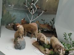 -杭州西湖博物馆总馆