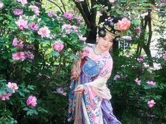 -洛阳市隋唐城遗址植物园