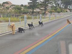 -崂山仰口游览区