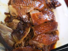 酱鸭-百丈农家