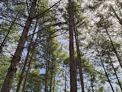 -大连天门山国家森林公园