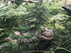 -呀路古热带植物园