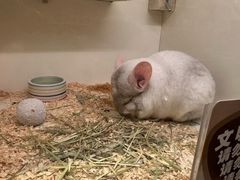 -龙猫仔乐园(惠福东路店)