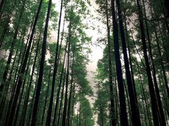 -山王坪喀斯特国家生态公园