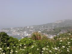 -东极岛景区