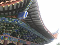 -铁山坪森林公园