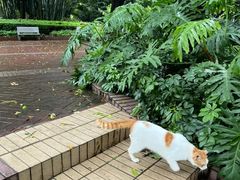-晓港公园