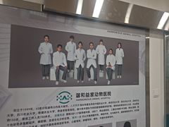 -谐和益家动物医院·免疫绝育·血液透析·宠保定点医院(高新伊藤分院)