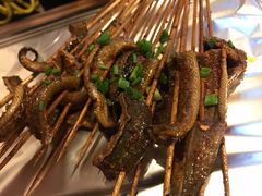 鳝鱼-晓靖轩烧烤(沙河风情店)