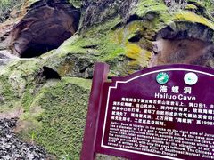 -缙云山景区