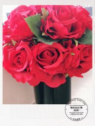 -锦尚名仕Hair Salon