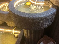 -锅来乐地锅鸡(安亭店)