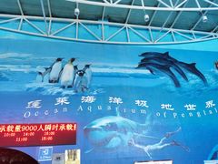 -蓬莱欧乐堡海洋极地世界