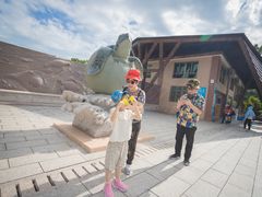 -广东惠东海龟国家级自然保护区
