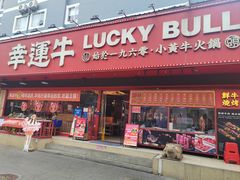 -幸运牛汕头小黄牛牛肉火锅(梅林店)