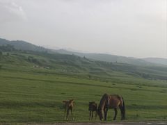 -新疆那拉提国家旅游度假区