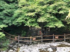 -关门山森林公园