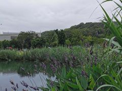 -牛岗山公园