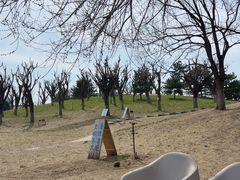 -小意思咖啡店(草桥店)