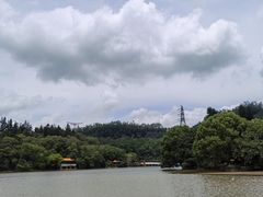 -深圳仙湖植物园