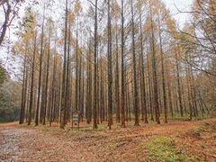 -小格里自然风景区