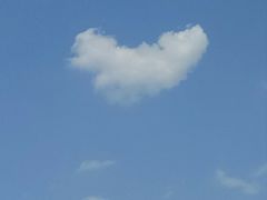 -秀丽东方