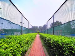 -成都高新创新角度网球俱乐部