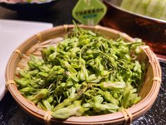 -得意咚瓜·顺德鱼生·冬瓜盅火锅